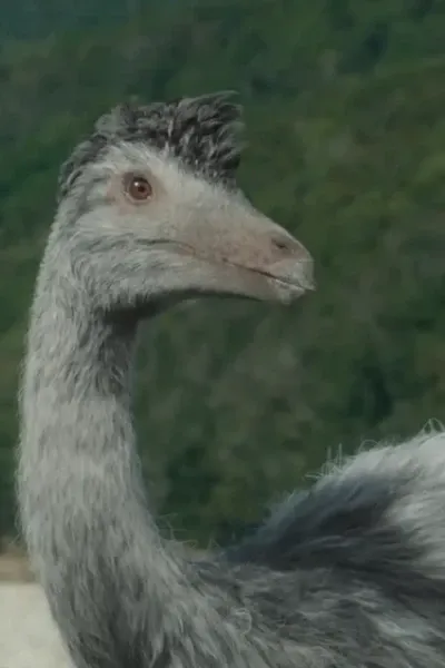Ornithomimus (Prehistoric Planet)