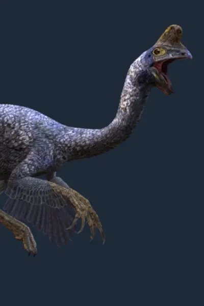 Oviraptor (Jurassic World: Alive)