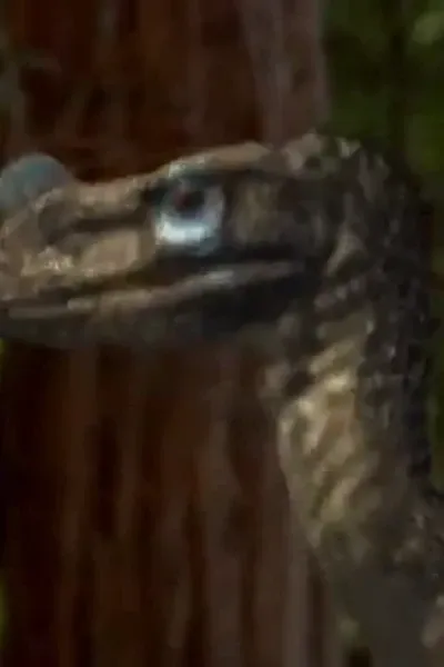 Ornitholestes (Walking with Dinosaurs)