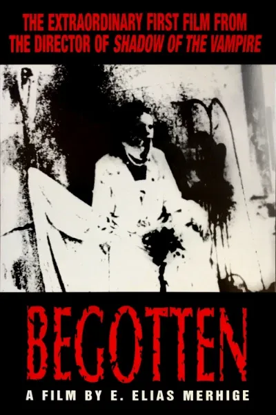 Begotten