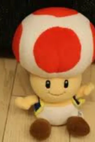 Toad