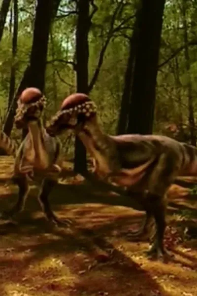 Pachycephalosaurus (Dinosaurs Decoaded)
