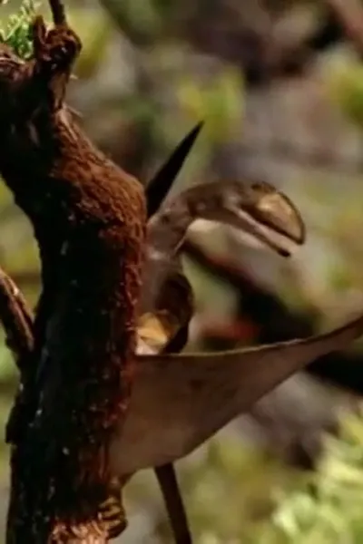 Peteinosaurus (Walking With Dinosaurs)