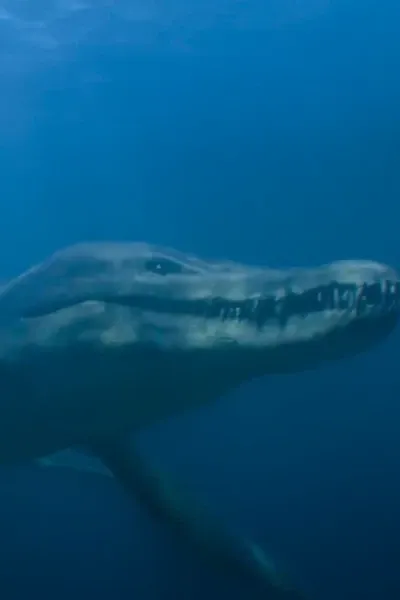 Pliosaurus (Life on Our Planet)