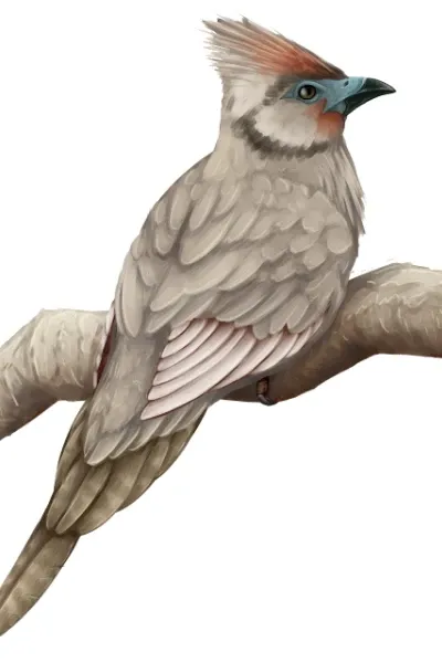 Paleospiza