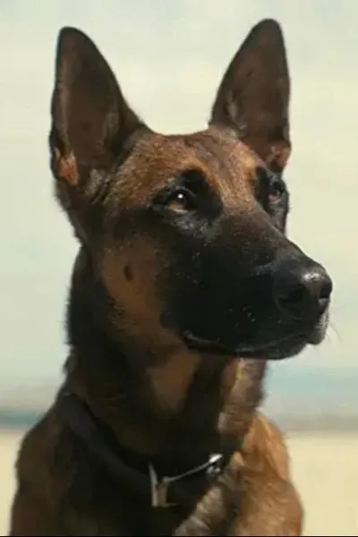 Samantha