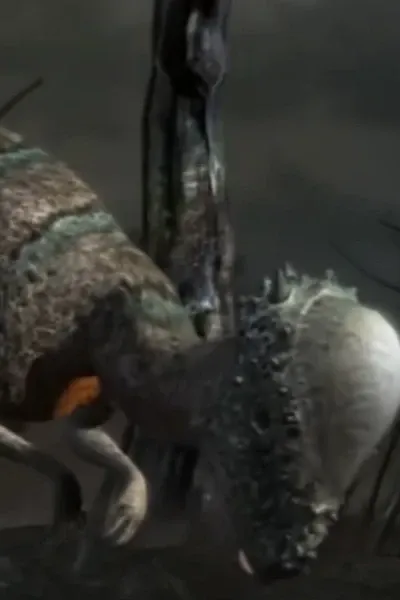 Ficus (Wonderbook: Walking with Dinosaurs)