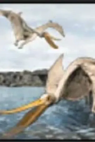 Pterodaustro (Jurassic Park 3: Park Builder)