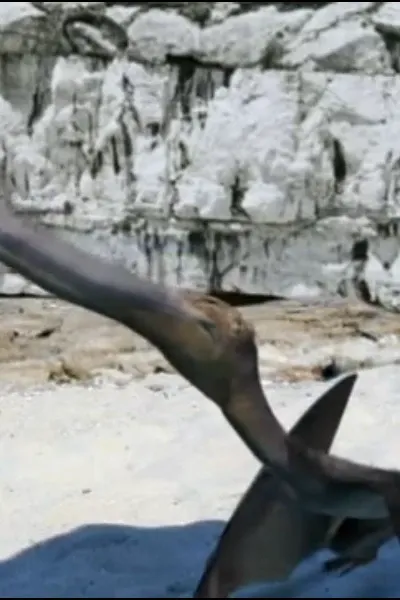 Pterodaustro (Sky Monsters)