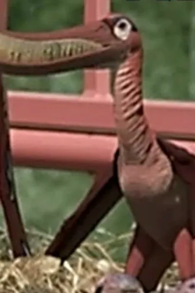 Pterodaustro (Dino Dan)