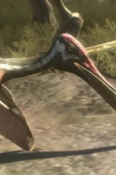 Pterodaustro (Wonderbook: Walking with Dinosaurs)