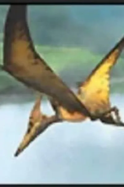 Pteranodon (Jurassic Park 3: Park Builder)