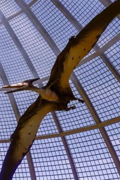 Pteranodon (Jurassic World Evolution)