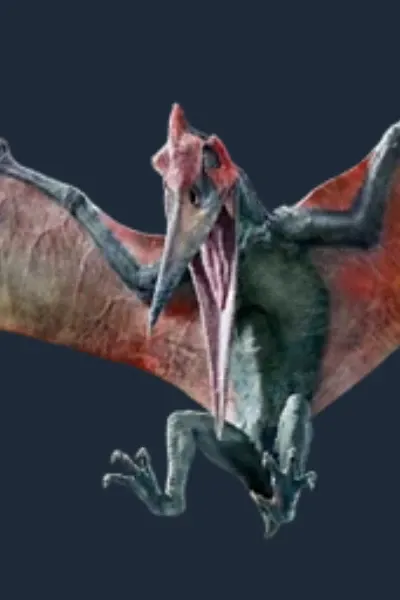 Pteranodon (Jurassic World: Primal Ops)