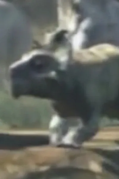 Willow (Wonderbook: Walking with Dinosaurs)