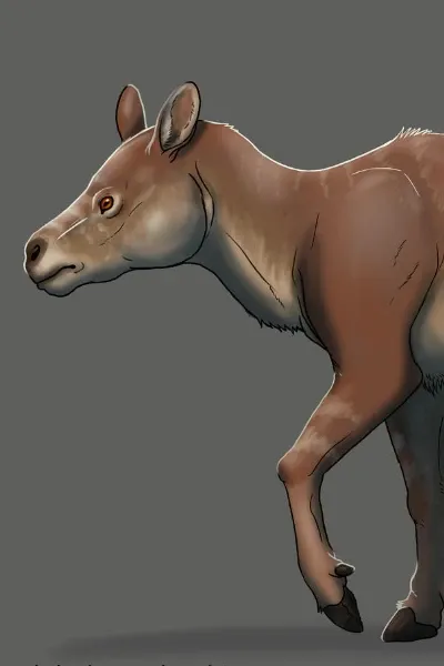 Neodolodus