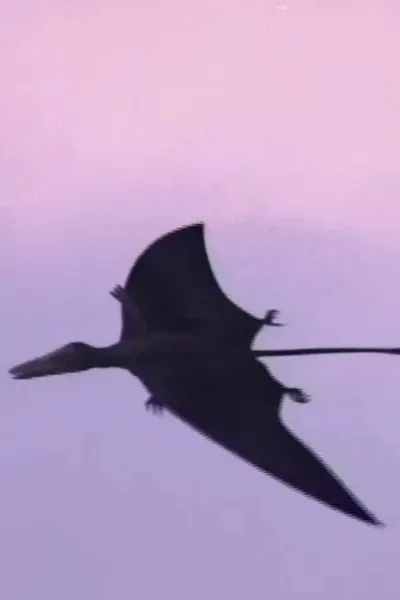 Rhamphorhynchus (The Life of Birds)