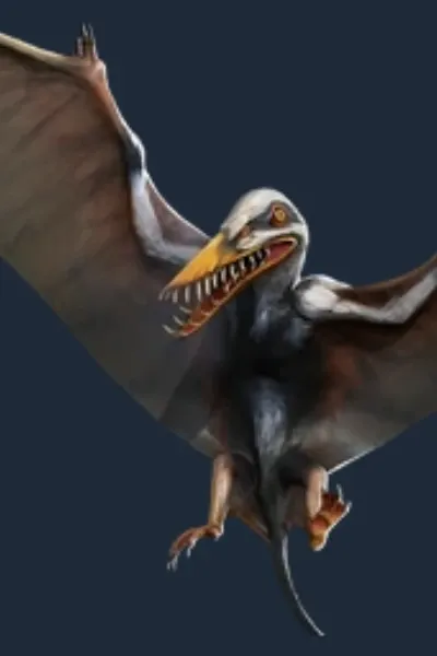 Rhamphorhynchus (Jurassic World: Primal Ops)