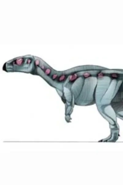 Rhabdodon (Jurassic Park Institute)