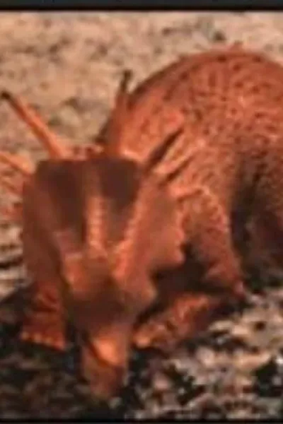Styracosaurus (Jurassic Park III: Park Builder)