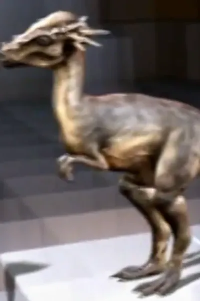 Stygimoloch (Dinosaurs Decoded)