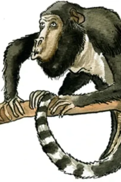 Stirtonia