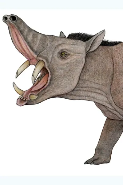 Xenastrapotherium