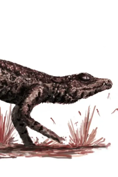 Theriosuchus