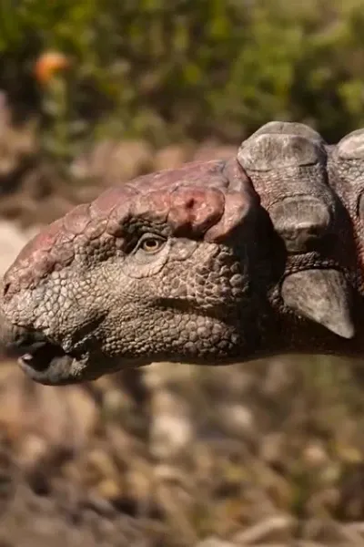 Sauropelta (The Dinosaurs) (2026)