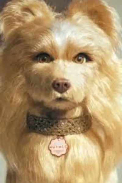 Nutmeg (Isle of Dogs)