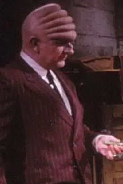The Brow (Dick Tracy) photo