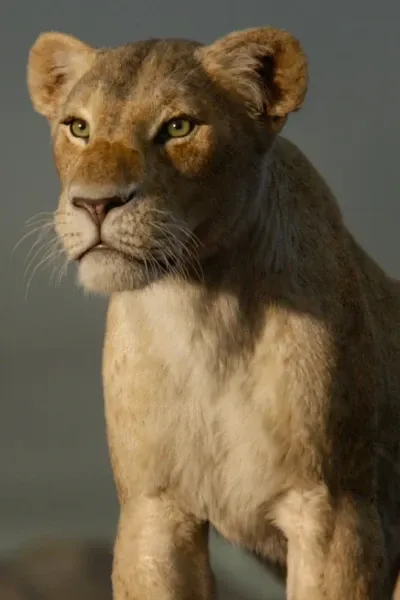 Nala (The Lion King 2019)