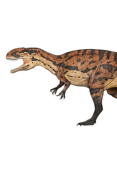 Siamraptor