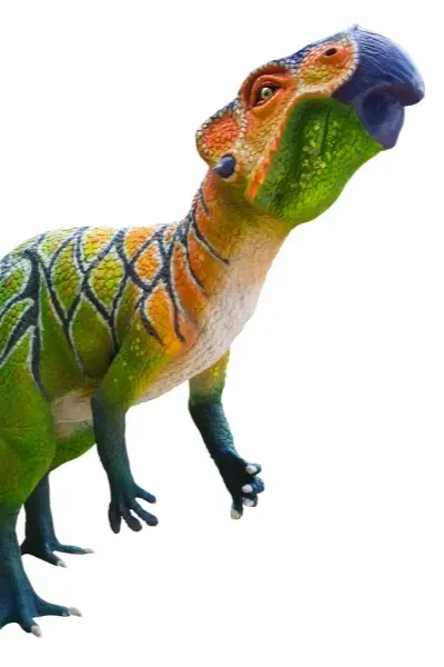 Psittacosaurus Sattayaraki