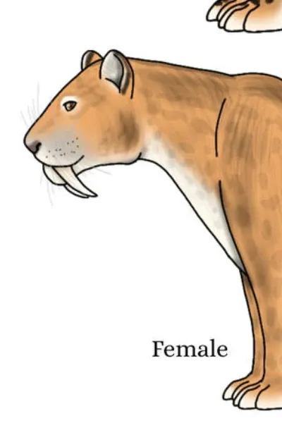Malika The Smilodon photo