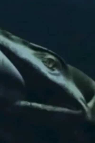 Tylosaurus (Prehistoric Monsters Revealed)