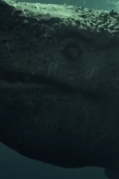 Tylosaurus (Dinosaur Revolution)