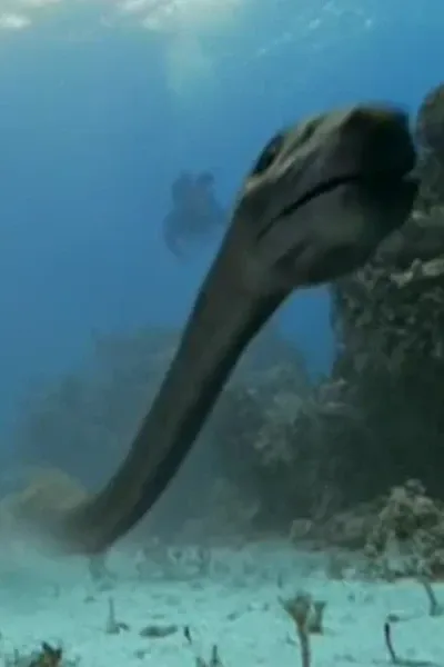 Tanystropheus (Sea Monsters)
