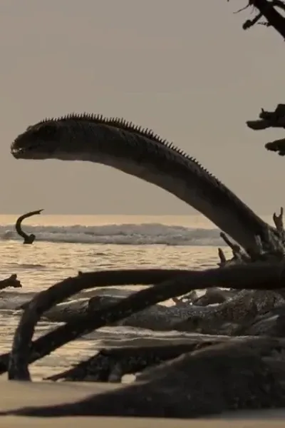 Tanystropheus (The Dinosaurs) (2026)