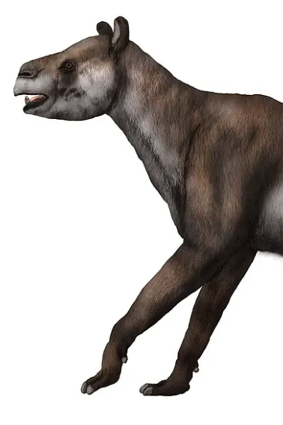 Huilatherium