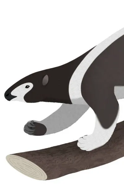 Hapalops
