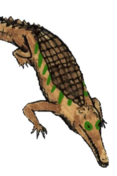 Gryposuchus
