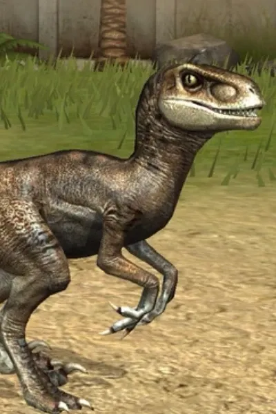 Velociraptor (Jurassic World The Game)