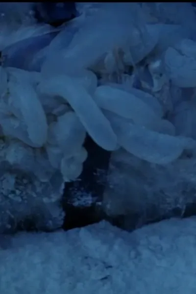 SKYWALKER, SQUISH - TAUNTAUN GUTS