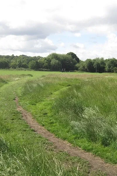 Hampstead Heath