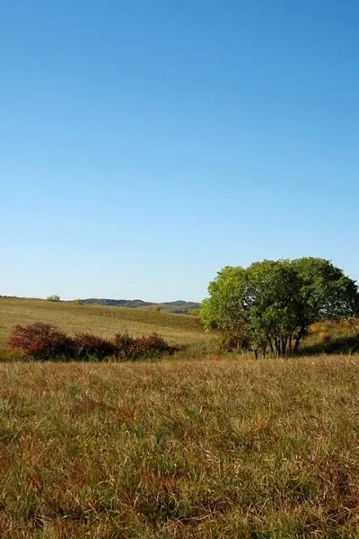 Filming Locations