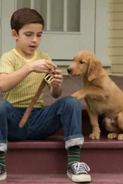 Ethan Montgomery (A Dog's Purpose) photo