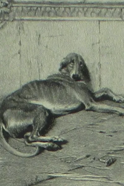 Argos photo