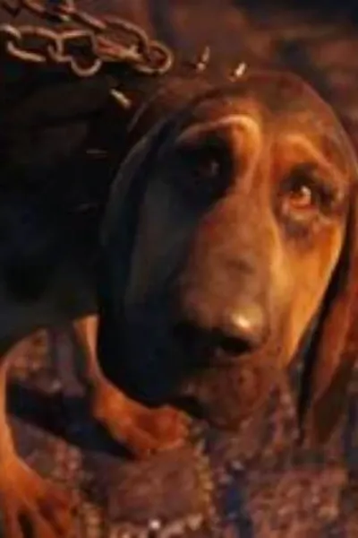 Bayard the Bloodhound
