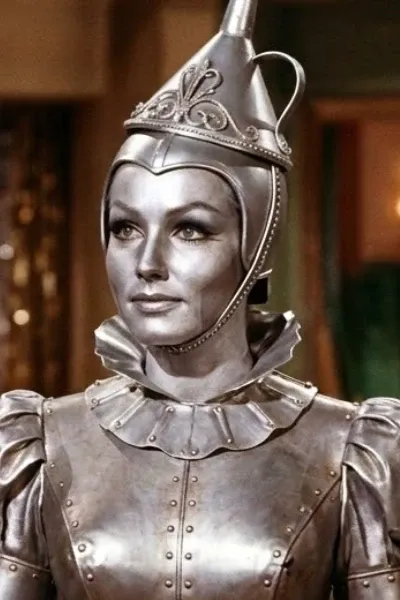 The Tin Woman